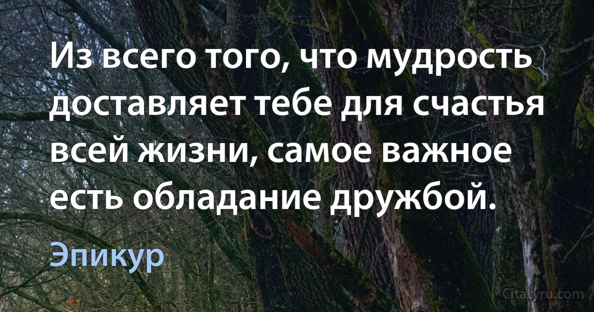 Из всего того, что мудрость доставляет тебе для счастья всей жизни, самое важное есть обладание дружбой. (Эпикур)