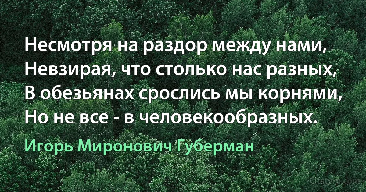 Несмотря на раздор между нами,
Невзирая, что столько нас разных,
В обезьянах срослись мы корнями,
Но не все - в человекообразных. (Игорь Миронович Губерман)