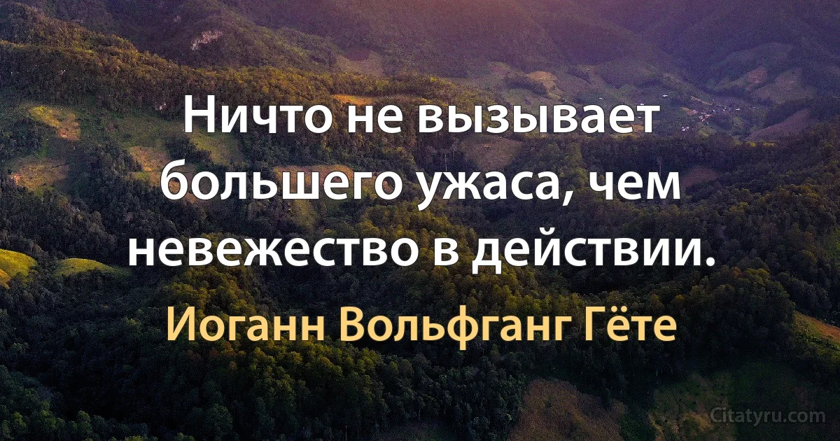 Ничто не вызывает большего ужаса, чем невежество в действии. (Иоганн Вольфганг Гёте)