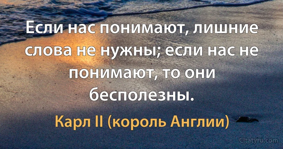 Если нас понимают, лишние слова не нужны; если нас не понимают, то они бесполезны. (Карл II (король Англии))