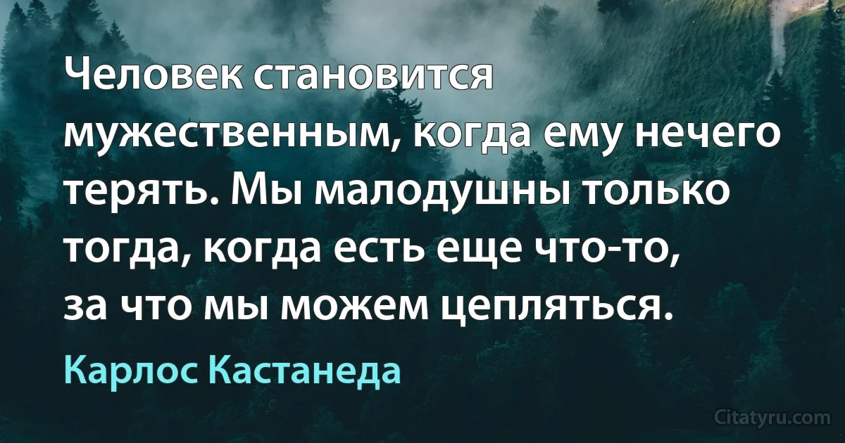 Человек становится мужественным, когда ему нечего терять. Мы малодушны только тогда, когда есть еще что-то, за что мы можем цепляться. (Карлос Кастанеда)