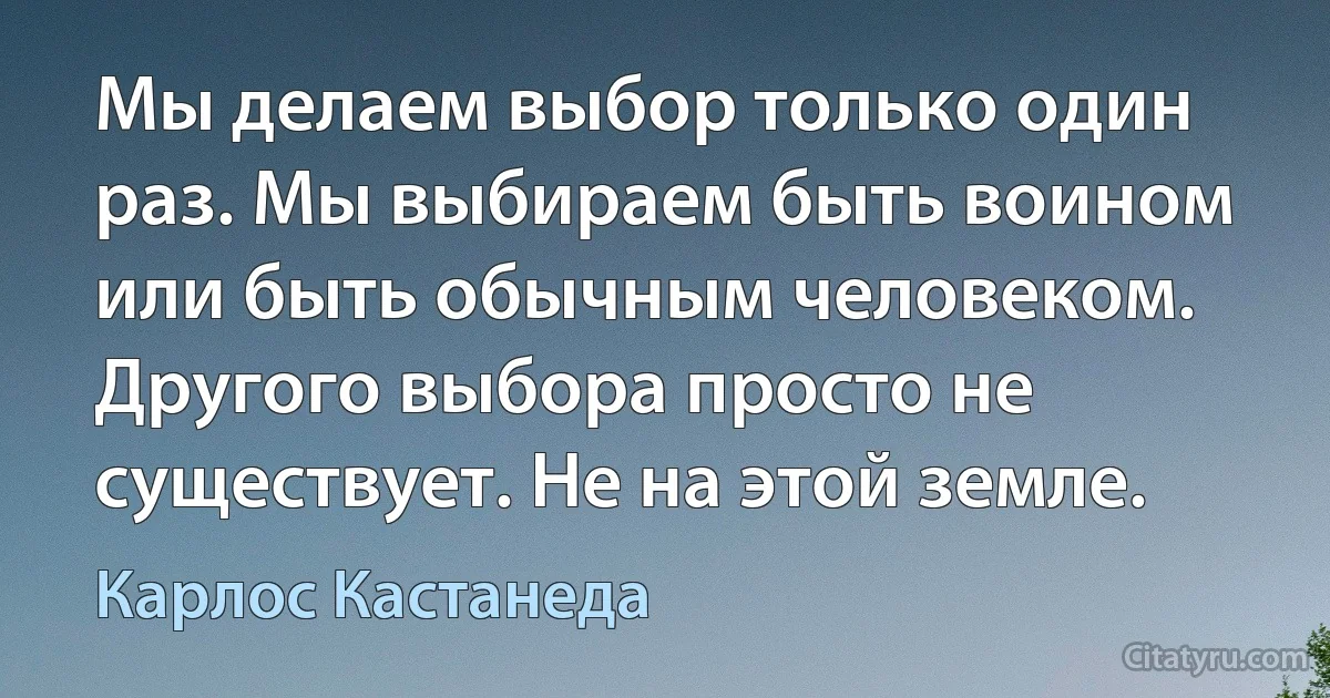 Мы делаем выбор только один раз. Мы выбираем быть воином или быть обычным человеком. Другого выбора просто не существует. Не на этой земле. (Карлос Кастанеда)