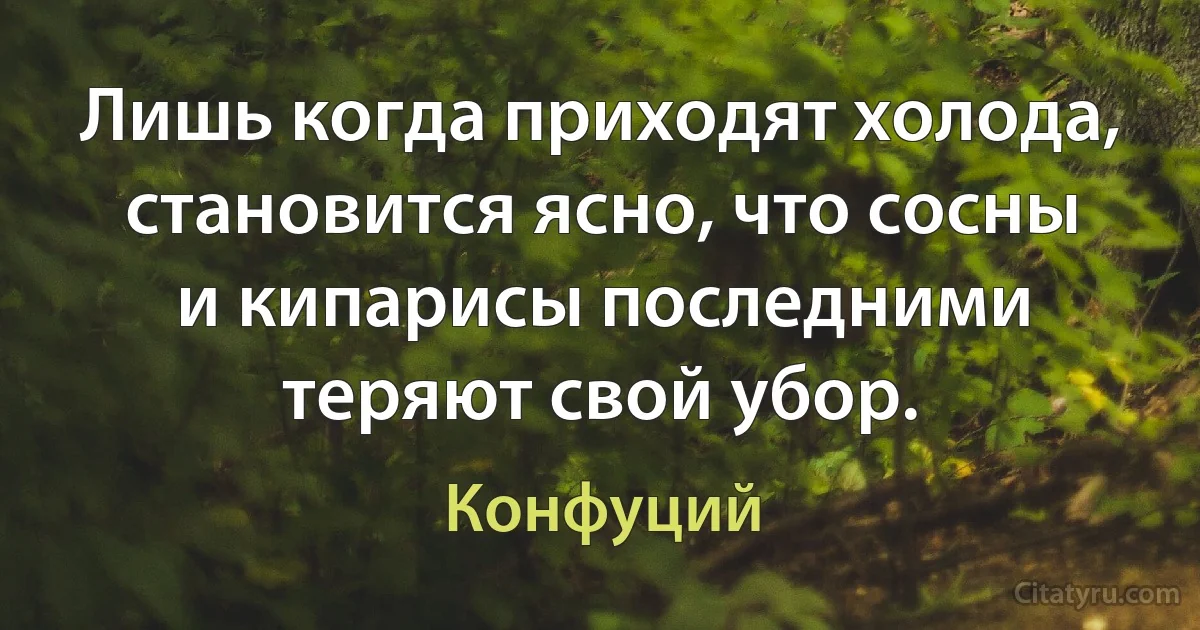 Лишь когда приходят холода, становится ясно, что сосны и кипарисы последними теряют свой убор. (Конфуций)