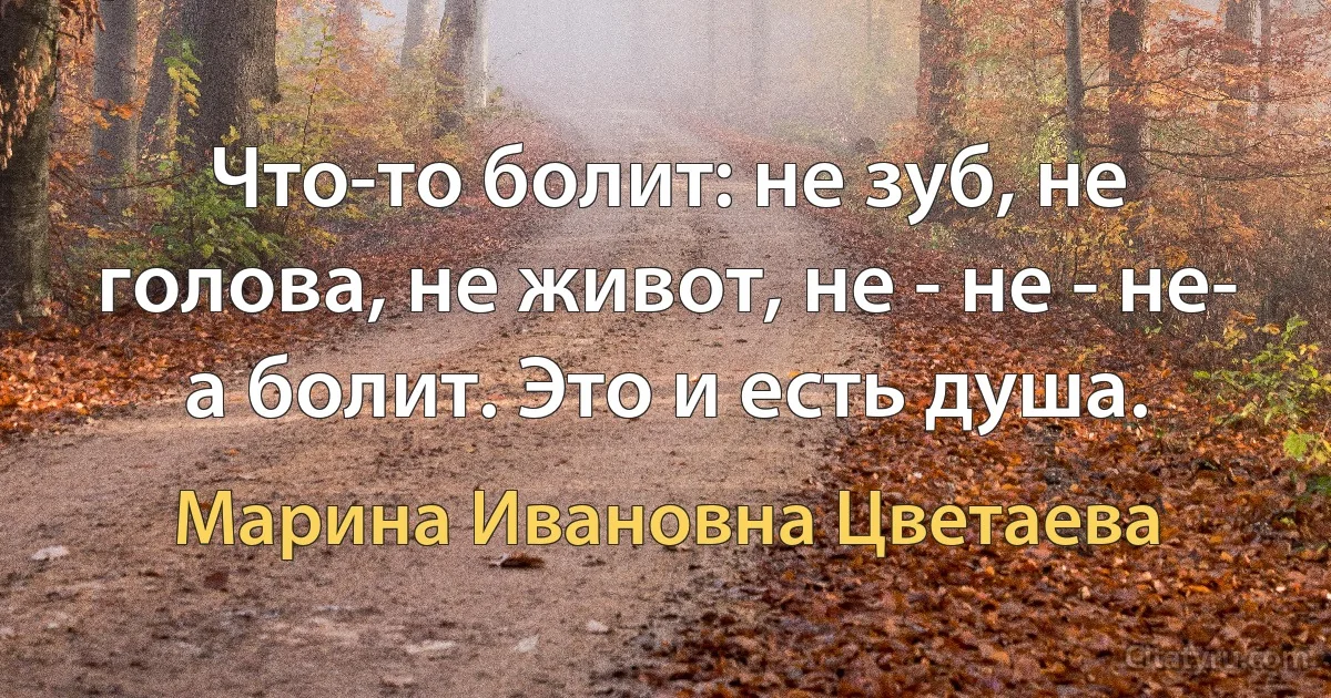 Что-то болит: не зуб, не голова, не живот, не - не - не- а болит. Это и есть душа. (Марина Ивановна Цветаева)