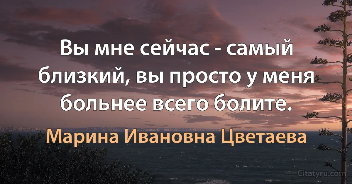 Вы мне сейчас - самый близкий, вы просто у меня больнее всего болите. (Марина Ивановна Цветаева)