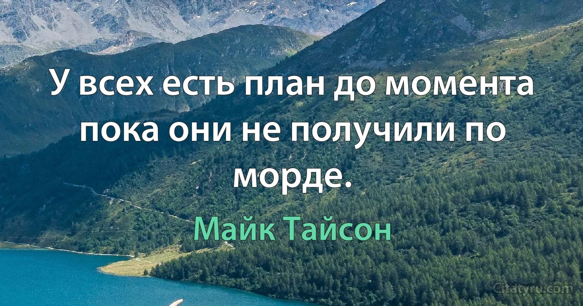 У всех есть план до момента пока они не получили по морде. (Майк Тайсон)