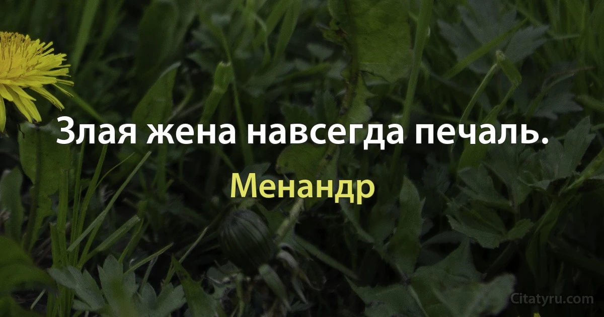 Злая жена навсегда печаль. (Менандр)