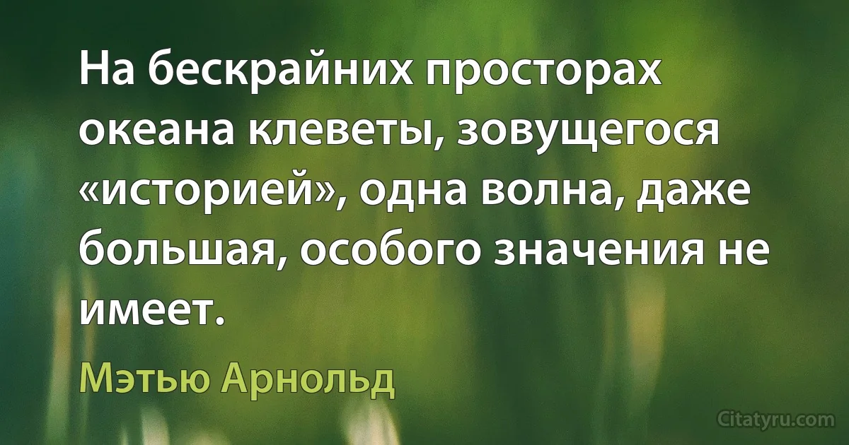 На бескрайних просторах океана клеветы, зовущегося «историей», одна волна, даже большая, особого значения не имеет. (Мэтью Арнольд)