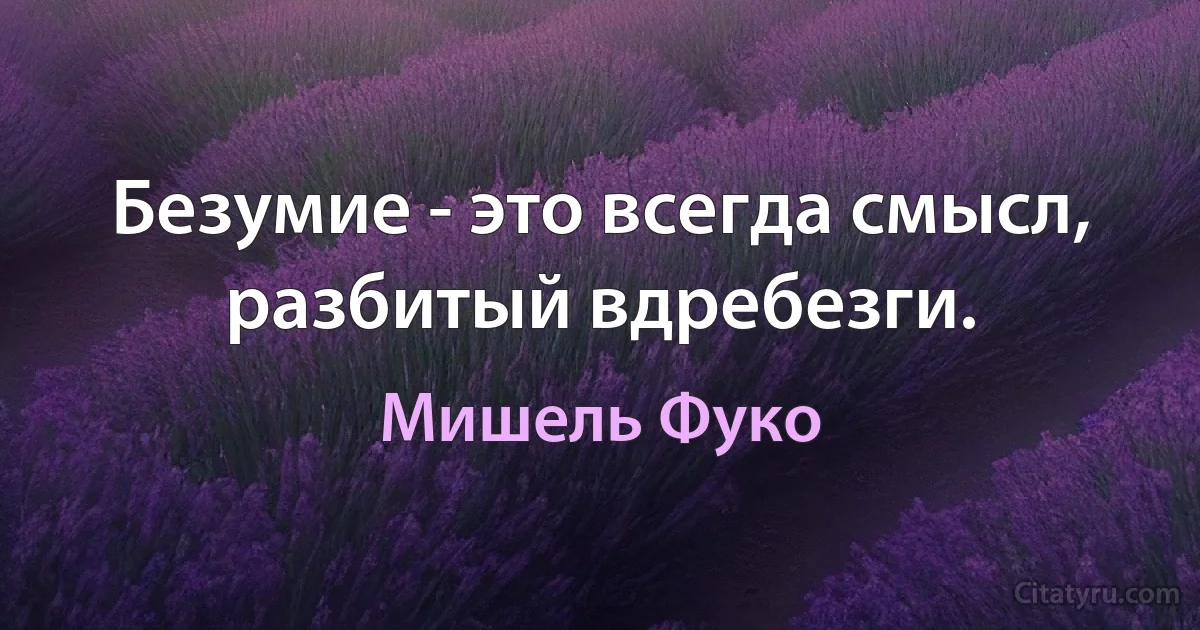 Безумие - это всегда смысл, разбитый вдребезги. (Мишель Фуко)