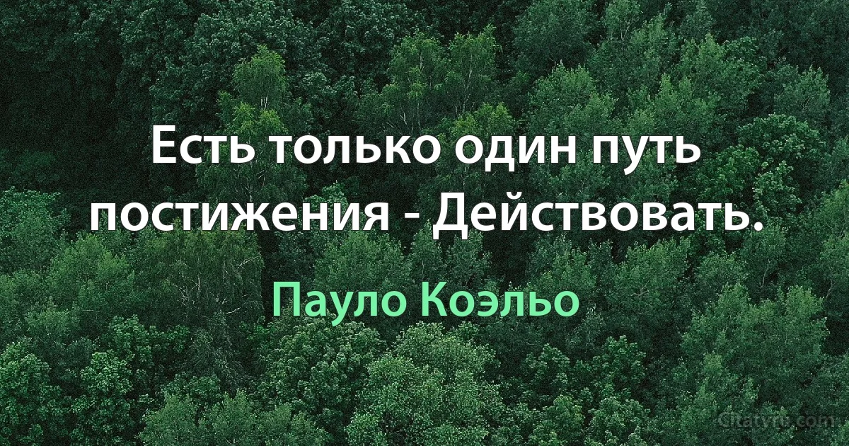 Есть только один путь постижения - Действовать. (Пауло Коэльо)