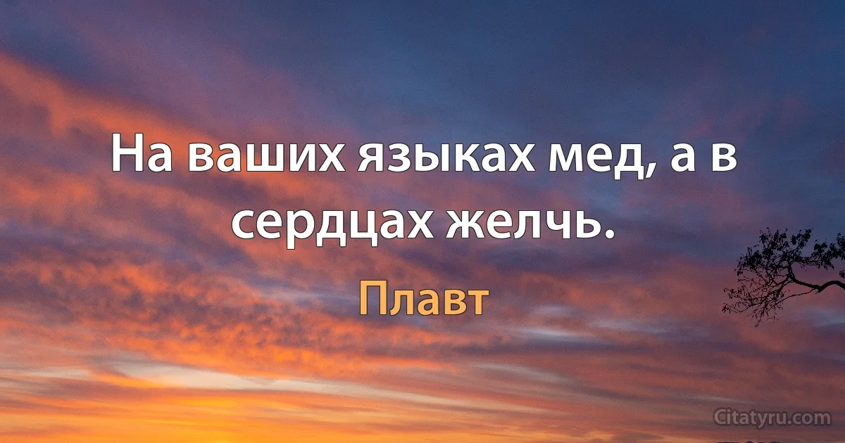 На ваших языках мед, а в сердцах желчь. (Плавт)