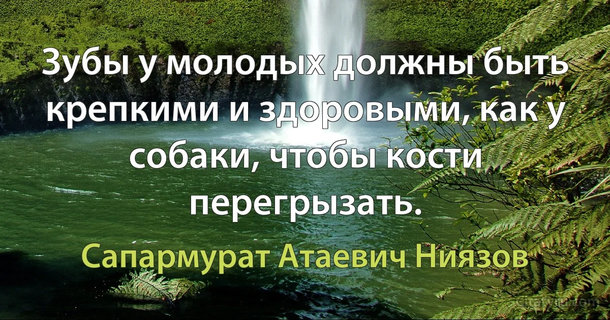 Зубы у молодых должны быть крепкими и здоровыми, как у собаки, чтобы кости перегрызать. (Сапармурат Атаевич Ниязов)