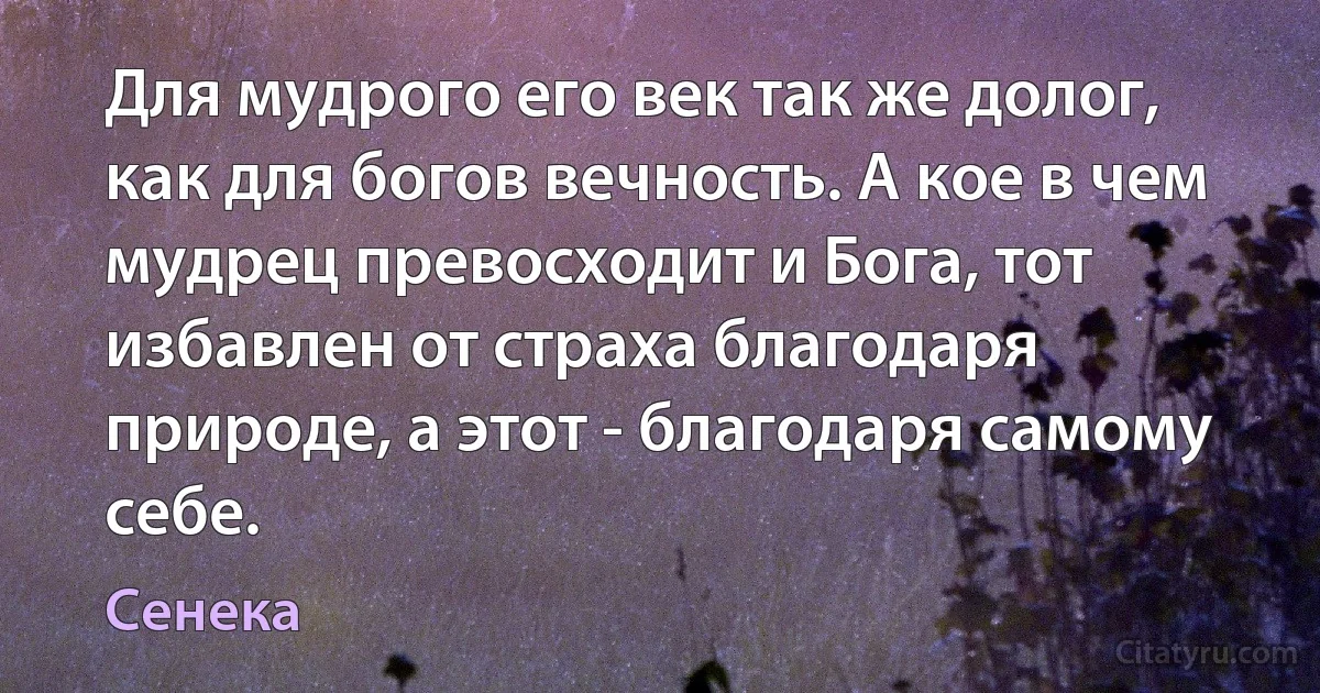 Для мудрого его век так же долог, как для богов вечность. А кое в чем мудрец превосходит и Бога, тот избавлен от страха благодаря природе, а этот - благодаря самому себе. (Сенека)