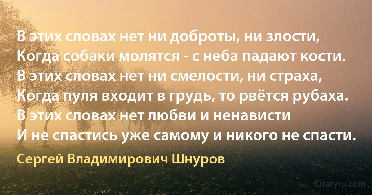 В этих словах нет ни доброты, ни злости, 
Когда собаки молятся - с неба падают кости. 
В этих словах нет ни смелости, ни страха, 
Когда пуля входит в грудь, то рвётся рубаха. 
В этих словах нет любви и ненависти 
И не спастись уже самому и никого не спасти. (Сергей Владимирович Шнуров)