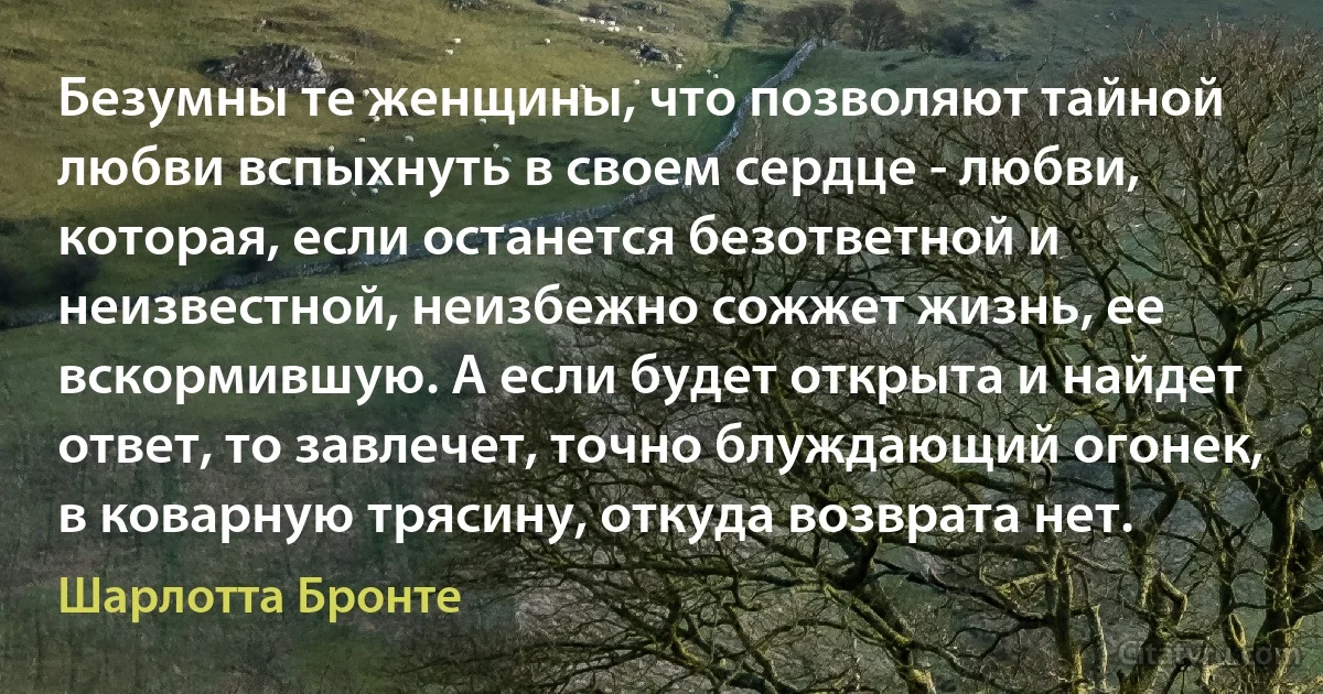 Безумны те женщины, что позволяют тайной любви вспыхнуть в своем сердце - любви, которая, если останется безответной и неизвестной, неизбежно сожжет жизнь, ее вскормившую. А если будет открыта и найдет ответ, то завлечет, точно блуждающий огонек, в коварную трясину, откуда возврата нет. (Шарлотта Бронте)