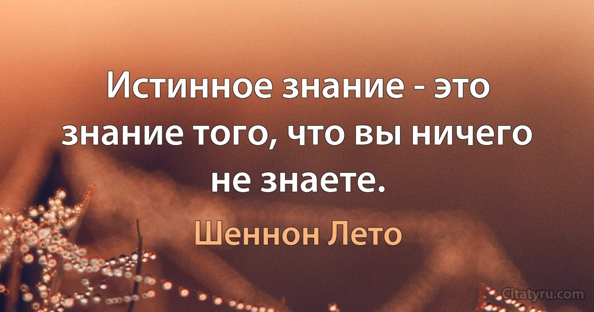 Истинное знание - это знание того, что вы ничего не знаете. (Шеннон Лето)