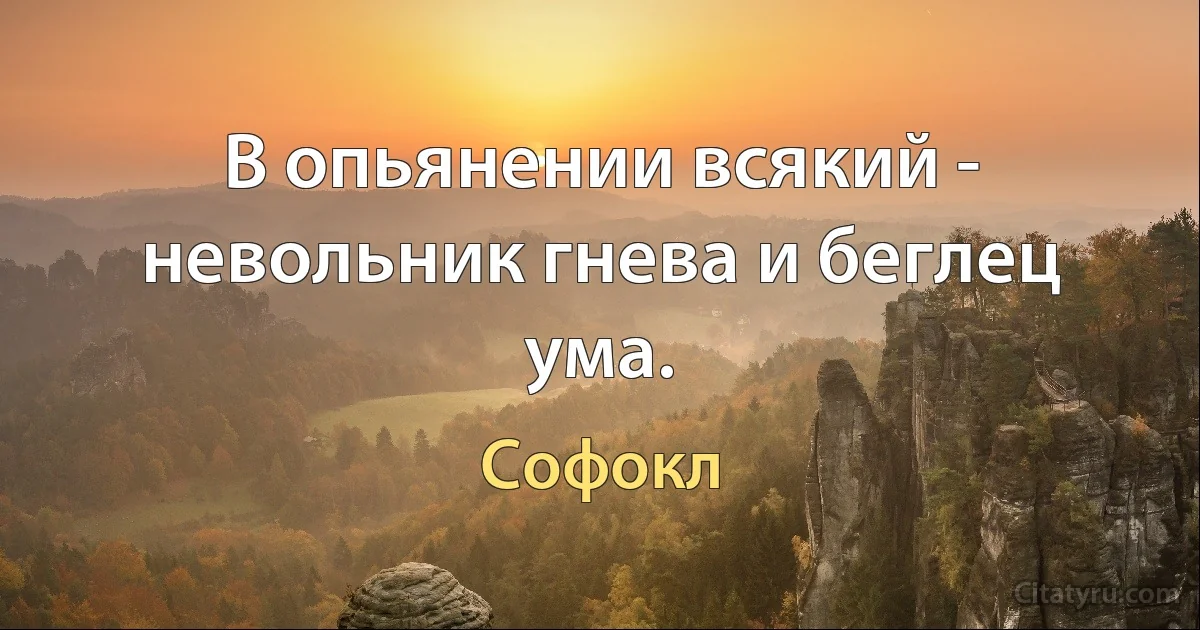 В опьянении всякий - невольник гнева и беглец ума. (Софокл)