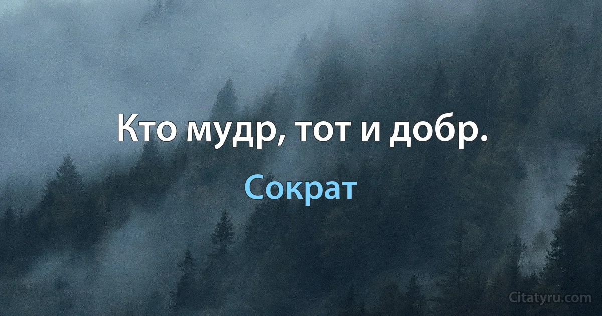 Кто мудр, тот и добр. (Сократ)