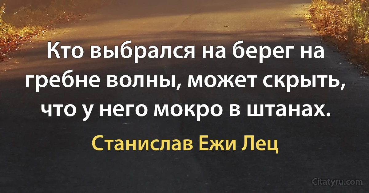 Кто выбрался на берег на гребне волны, может скрыть, что у него мокро в штанах. (Станислав Ежи Лец)