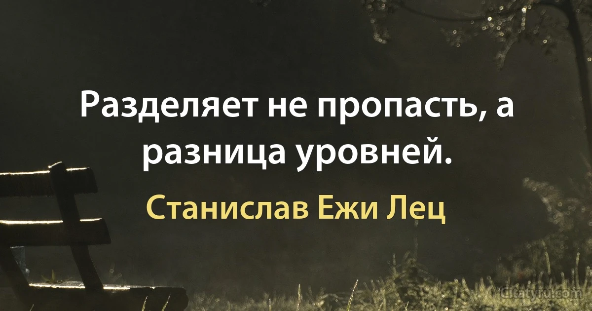 Разделяет не пропасть, а разница уровней. (Станислав Ежи Лец)