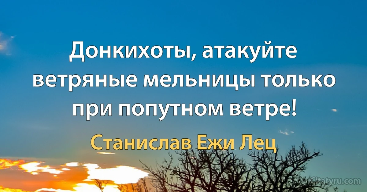 Донкихоты, атакуйте ветряные мельницы только при попутном ветре! (Станислав Ежи Лец)