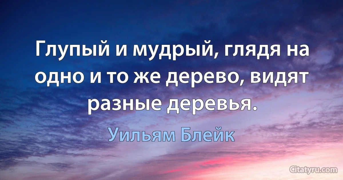 Глупый и мудрый, глядя на одно и то же дерево, видят разные деревья. (Уильям Блейк)