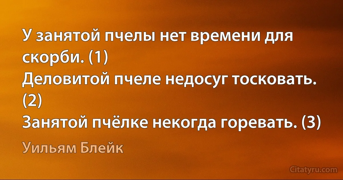 У занятой пчелы нет времени для скорби. (1)
Деловитой пчеле недосуг тосковать. (2)
Занятой пчёлке некогда горевать. (3) (Уильям Блейк)