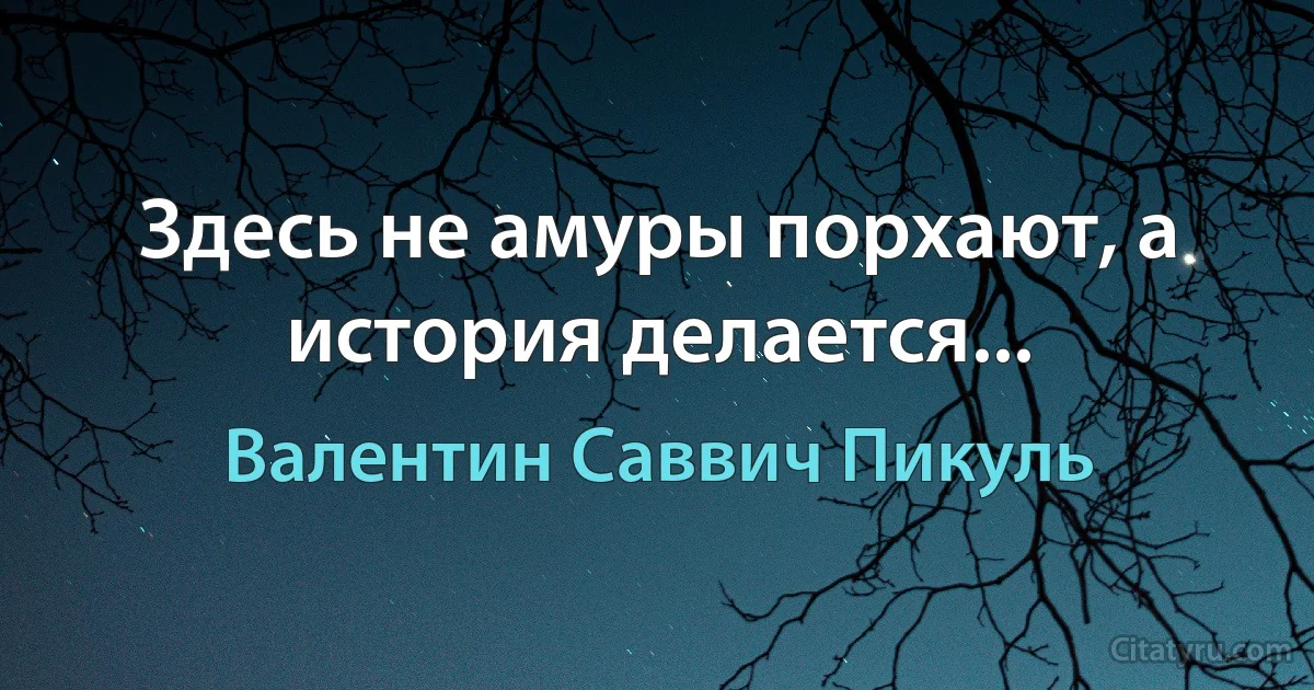 Здесь не амуры порхают, а история делается... (Валентин Саввич Пикуль)