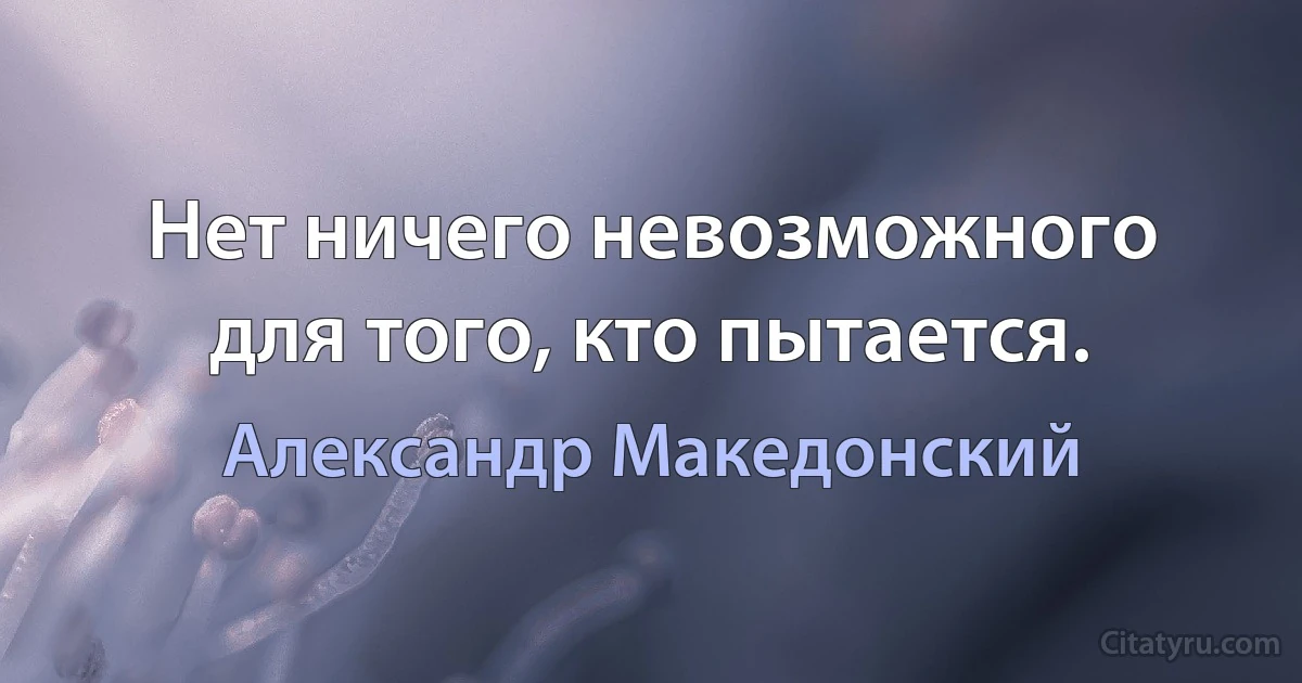 Нет ничего невозможного для того, кто пытается. (Александр Македонский)