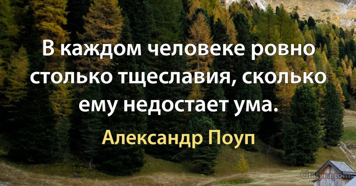 В каждом человеке ровно столько тщеславия, сколько ему недостает ума. (Александр Поуп)