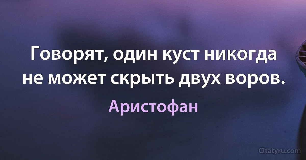 Говорят, один куст никогда не может скрыть двух воров. (Аристофан)