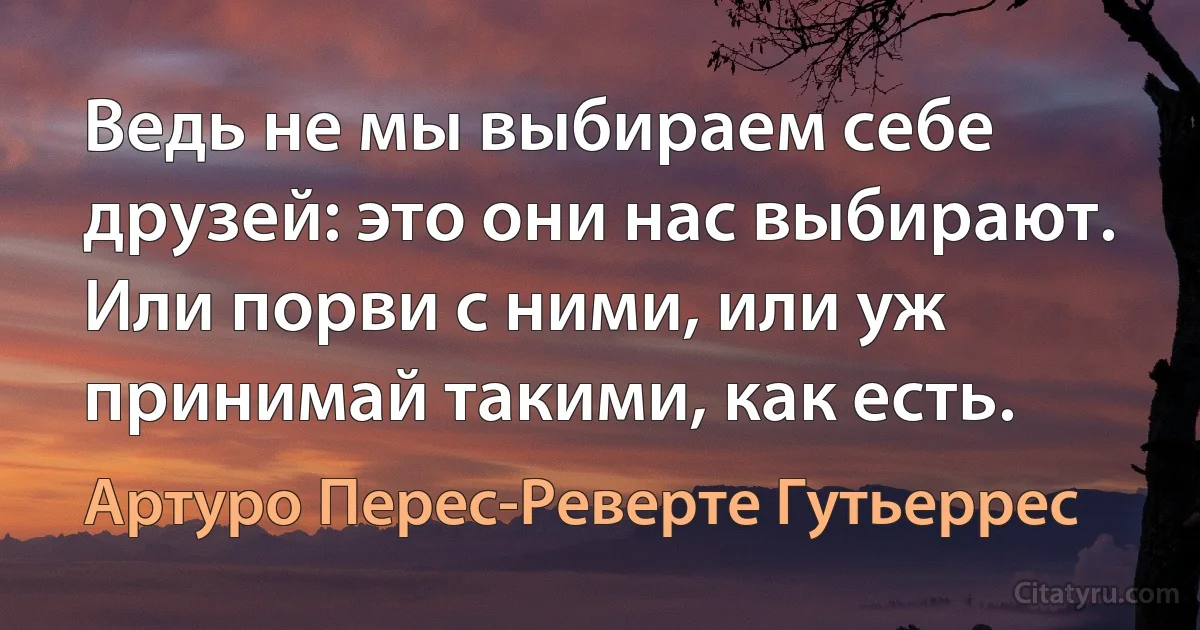 Ведь не мы выбираем себе друзей: это они нас выбирают. Или порви с ними, или уж принимай такими, как есть. (Артуро Перес-Реверте Гутьеррес)