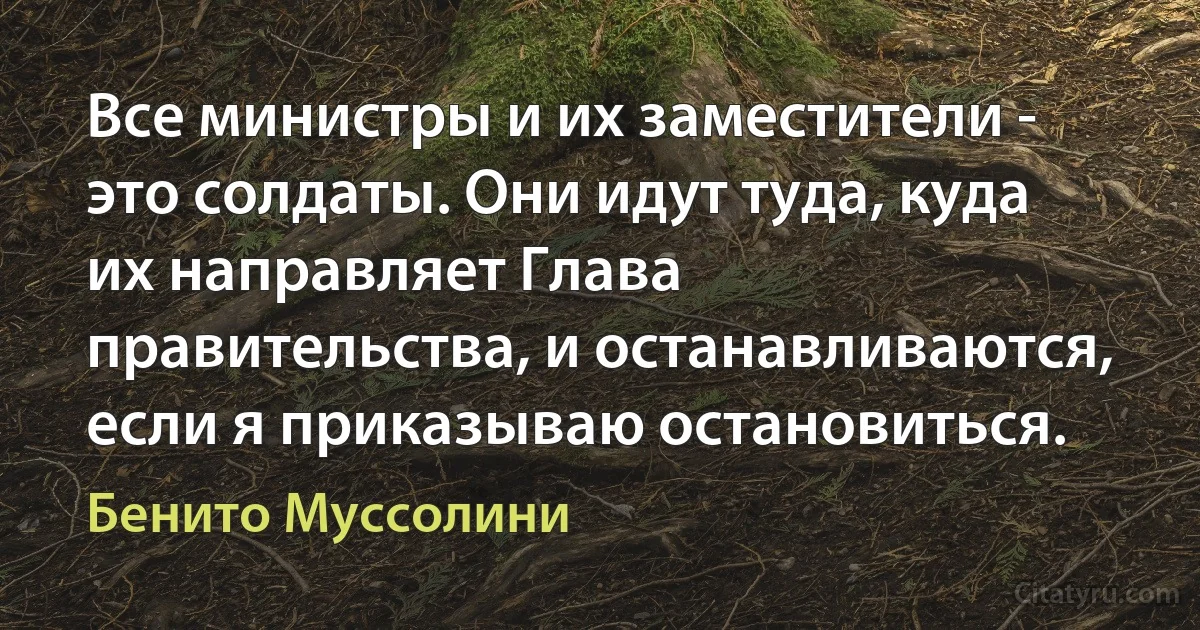 Все министры и их заместители - это солдаты. Они идут туда, куда их направляет Глава правительства, и останавливаются, если я приказываю остановиться. (Бенито Муссолини)