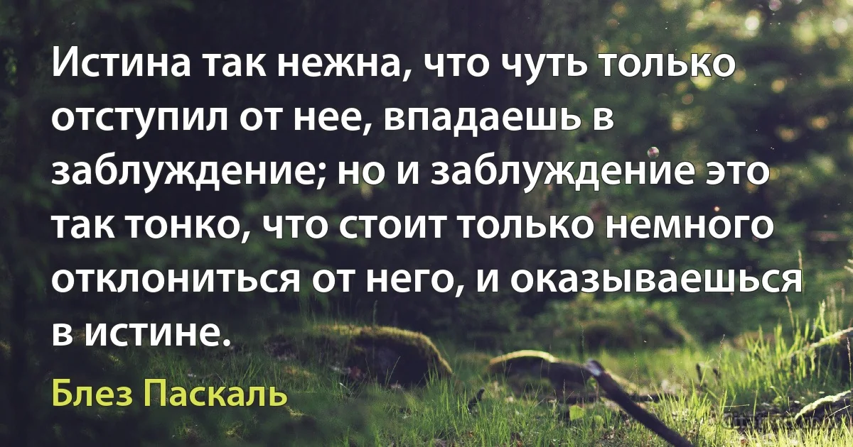 Истина так нежна, что чуть только отступил от нее, впадаешь в заблуждение; но и заблуждение это так тонко, что стоит только немного отклониться от него, и оказываешься в истине. (Блез Паскаль)