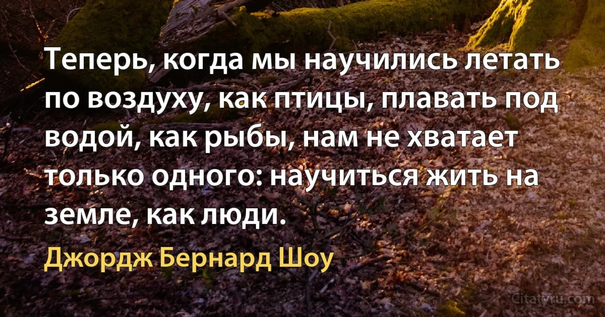 Теперь, когда мы научились летать по воздуху, как птицы, плавать под водой, как рыбы, нам не хватает только одного: научиться жить на земле, как люди. (Джордж Бернард Шоу)