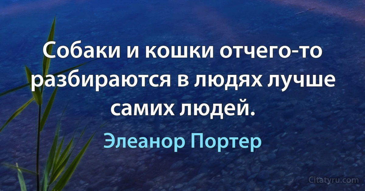 Собаки и кошки отчего-то разбираются в людях лучше самих людей. (Элеанор Портер)