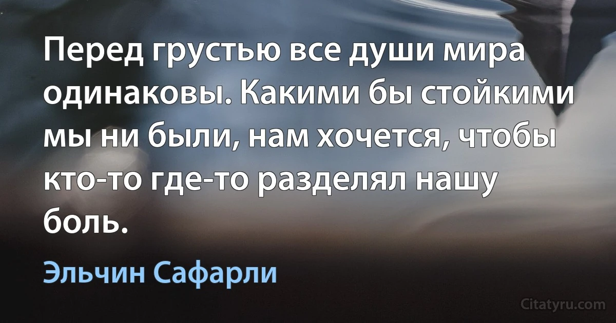 Перед грустью все души мира одинаковы. Какими бы стойкими мы ни были, нам хочется, чтобы кто-то где-то разделял нашу боль. (Эльчин Сафарли)