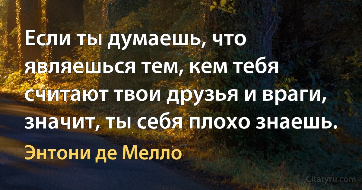 Если ты думаешь, что являешься тем, кем тебя считают твои друзья и враги, значит, ты себя плохо знаешь. (Энтони де Мелло)