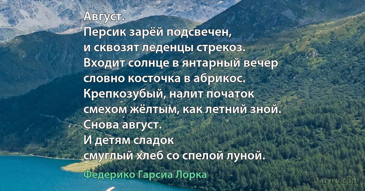 Август.
Персик зарёй подсвечен,
и сквозят леденцы стрекоз.
Входит солнце в янтарный вечер
словно косточка в абрикос.
Крепкозубый, налит початок
смехом жёлтым, как летний зной.
Снова август.
И детям сладок
смуглый хлеб со спелой луной. (Федерико Гарсиа Лорка)