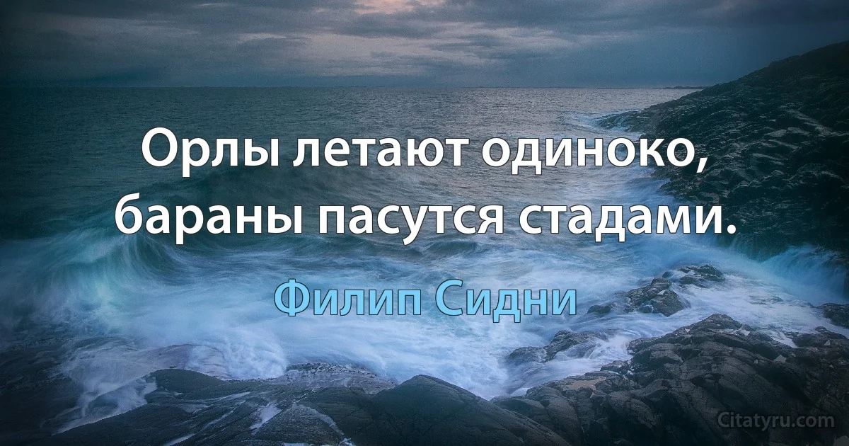 Орлы летают одиноко, бараны пасутся стадами. (Филип Сидни)