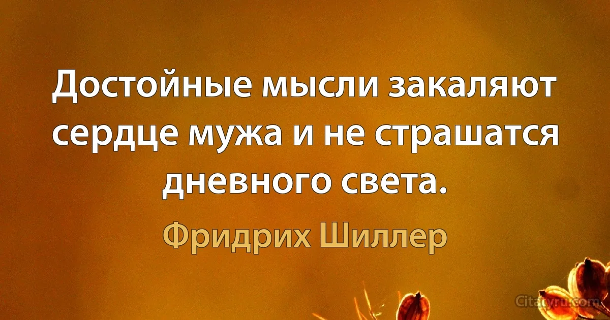 Достойные мысли закаляют сердце мужа и не страшатся дневного света. (Фридрих Шиллер)