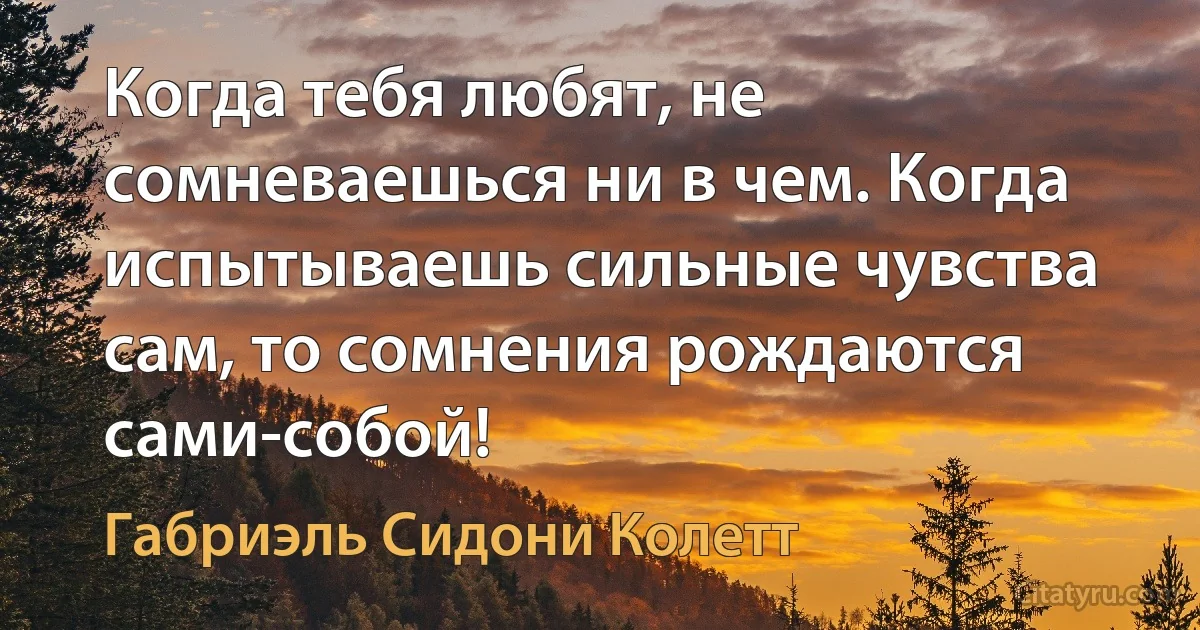 Когда тебя любят, не сомневаешься ни в чем. Когда испытываешь сильные чувства сам, то сомнения рождаются сами-собой! (Габриэль Сидони Колетт)