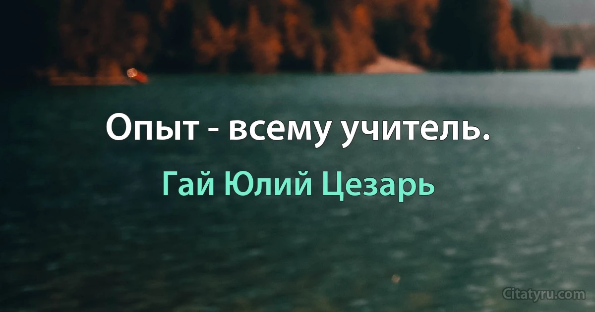 Опыт - всему учитель. (Гай Юлий Цезарь)