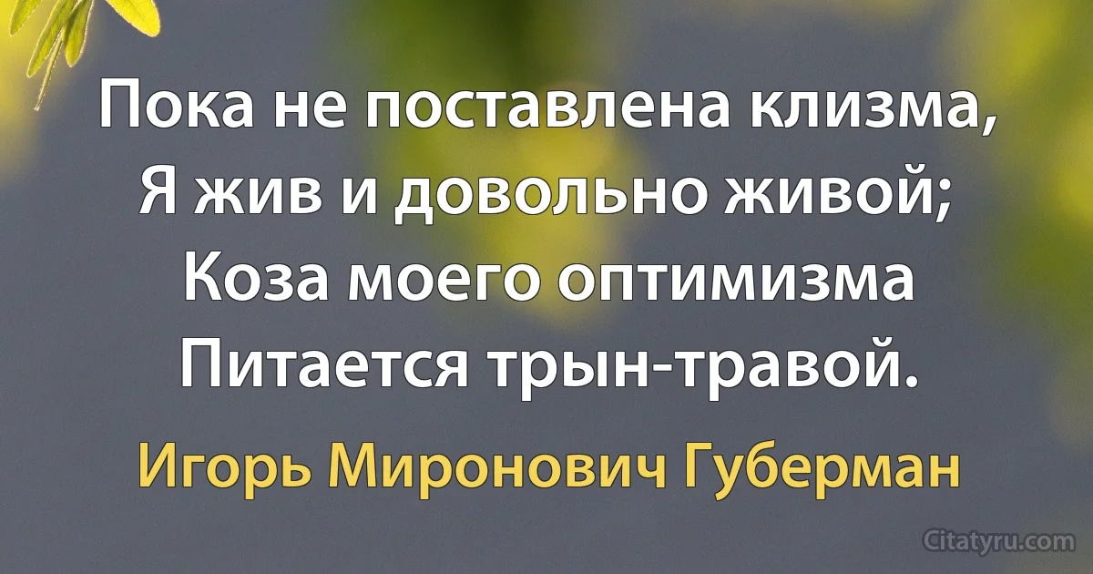 Пока не поставлена клизма,
Я жив и довольно живой;
Коза моего оптимизма
Питается трын-травой. (Игорь Миронович Губерман)