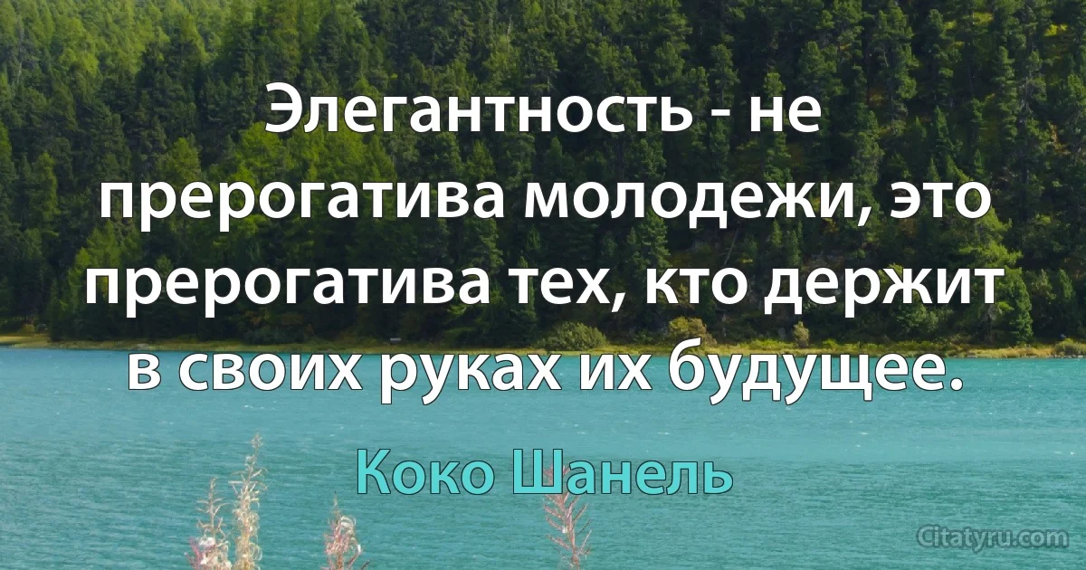 Элегантность - не прерогатива молодежи, это прерогатива тех, кто держит в своих руках их будущее. (Коко Шанель)