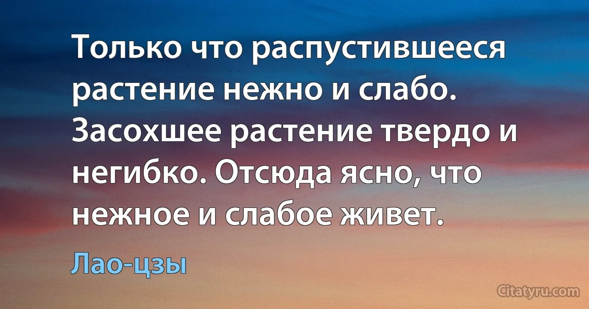 Только что распустившееся растение нежно и слабо. Засохшее растение твердо и негибко. Отсюда ясно, что нежное и слабое живет. (Лао-цзы)