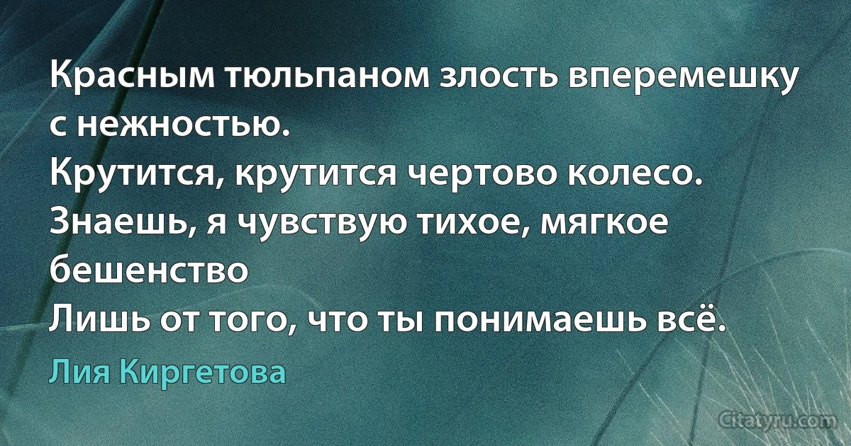 Красным тюльпаном злость вперемешку с нежностью.
Крутится, крутится чертово колесо.
Знаешь, я чувствую тихое, мягкое бешенство
Лишь от того, что ты понимаешь всё. (Лия Киргетова)