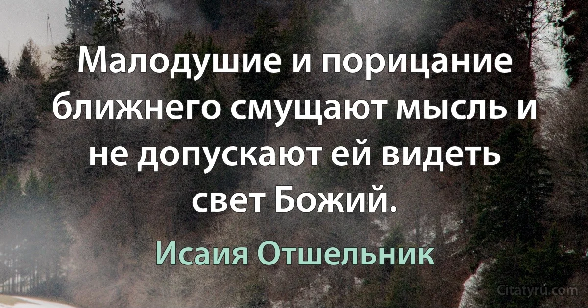 Малодушие и порицание ближнего смущают мысль и не допускают ей видеть свет Божий. (Исаия Отшельник)