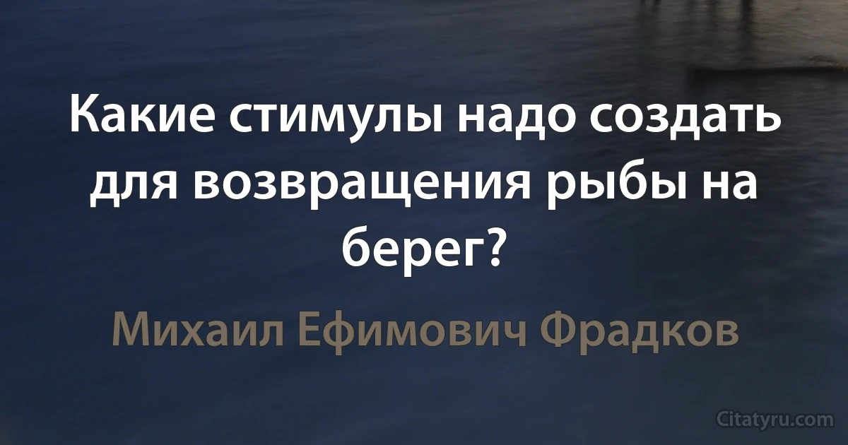 Какие стимулы надо создать для возвращения рыбы на берег? (Михаил Ефимович Фрадков)