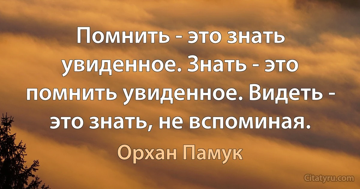 Помнить - это знать увиденное. Знать - это помнить увиденное. Видеть - это знать, не вспоминая. (Орхан Памук)